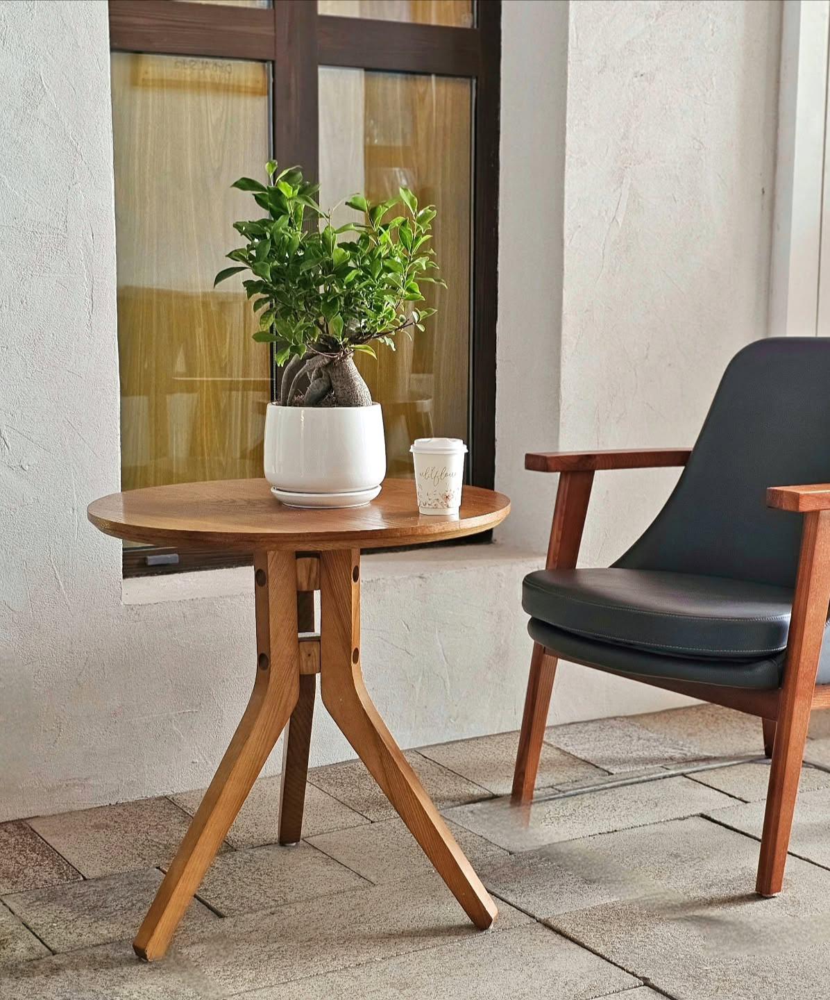Premium Indoor Bonsai Plant for Modern Home Decor Bahrain